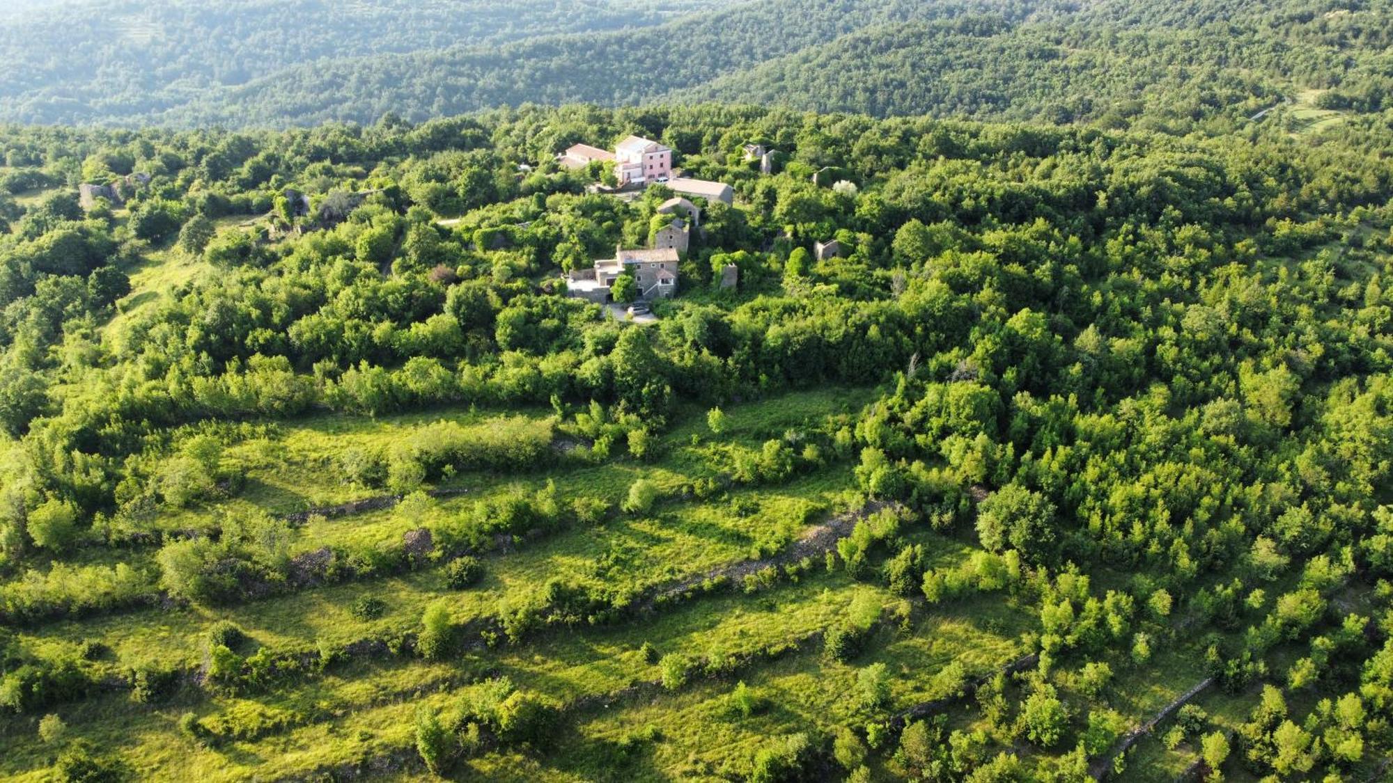 Casa Del Conte - Peaceful Hideaway In North Istria Villa Grožnjan Dış mekan fotoğraf