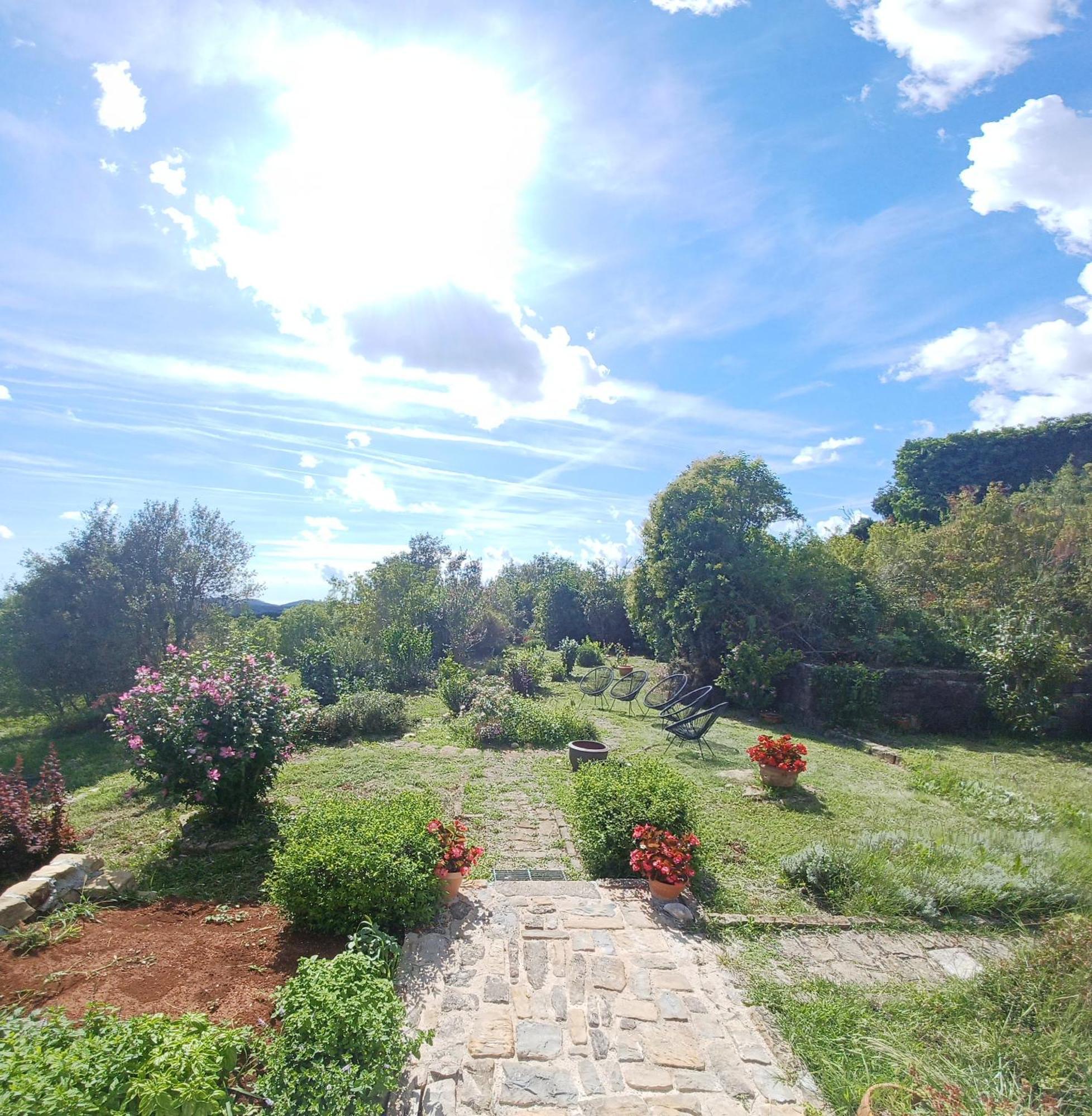Casa Del Conte - Peaceful Hideaway In North Istria Villa Grožnjan Dış mekan fotoğraf